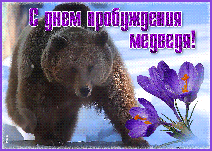 Всенняя гифка с проснувшимся медведем на фоне цветов и снежинок.