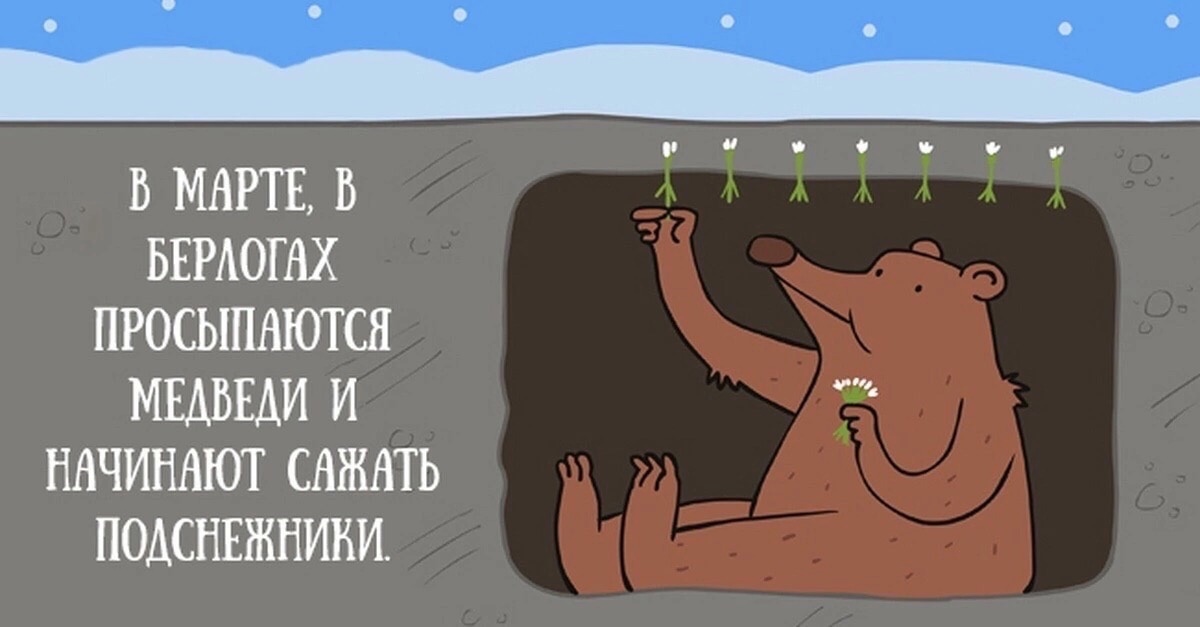 В марте в берлогах просыпаются медведи и начинают сажать подснежники - картинка с приколом.