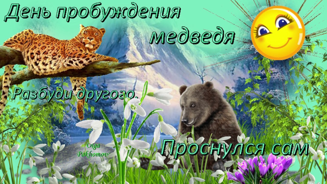 Приколы ко дню пробуждения мишек.