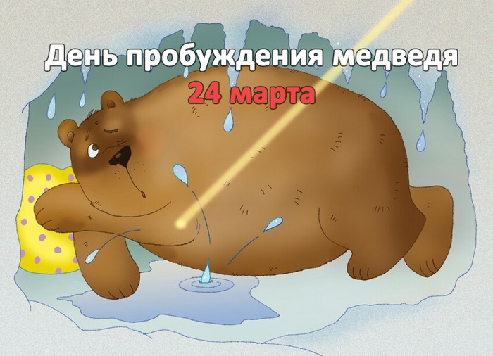 Смешная открытка с медведем спящим в берлоге.