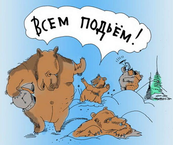 Карикатура на медведей "Всё подъём!".