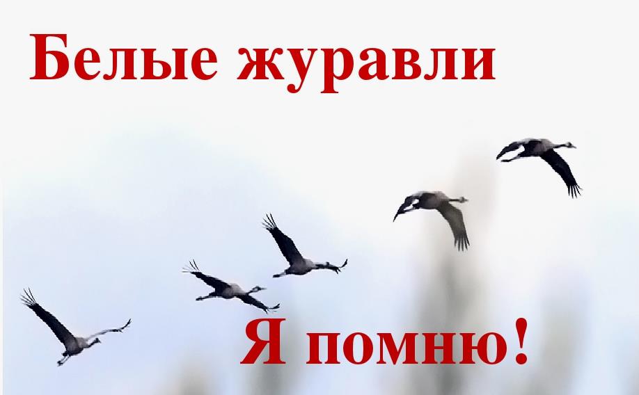 Надпись "Я помню! Белые Журавли!".