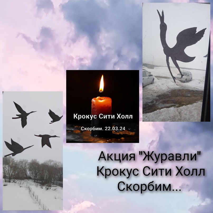 Картинка к акции "Журавли" Крокус Сити Холл.