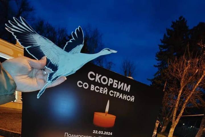 Открытка скорбим со всей страной "Белый Журавль!".