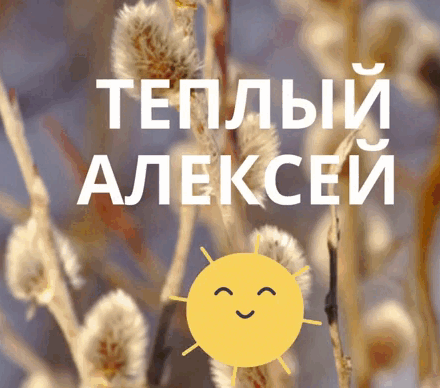 Солнечная анимация с веточками вербы на день Тёплого Алексея. Гифки на праздник "Тёплый Алексей".