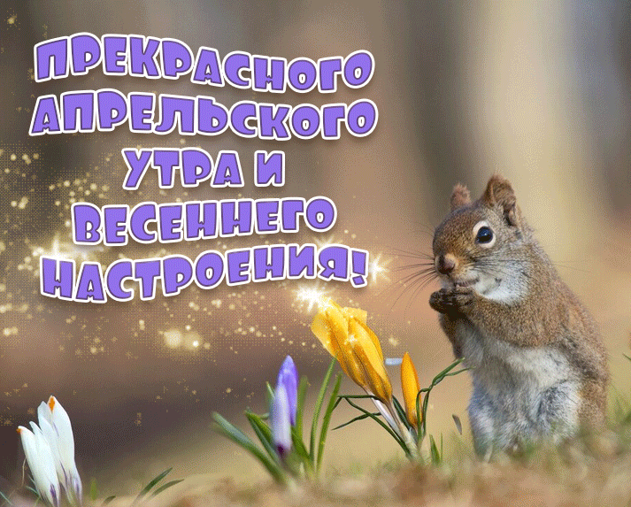 Блестящая, яркая гиф открытка прекрасного апрельского утра и весеннего настроения. Блестящая, яркая гиф открытка прекрасного апрельского утра и весеннего настроения.