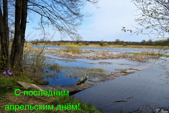 Красивая гиф открытка с последним апрельским днём.