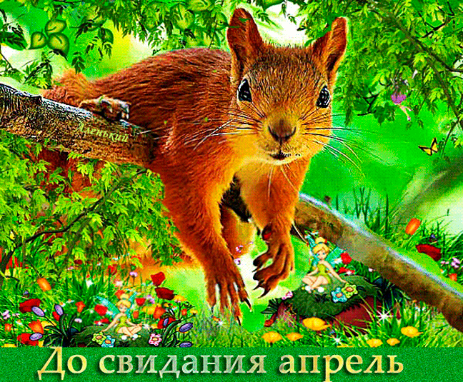 Смешная гифка с белкой "До свидания апрель!".