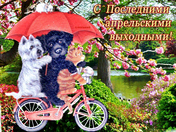 Забавная картинка с собаками на велосипеде и надписью "С последними апрельскими выходными!".