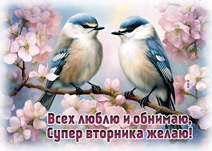Красивая весенняя гифка с птичками и пожеланием суперского вторника.