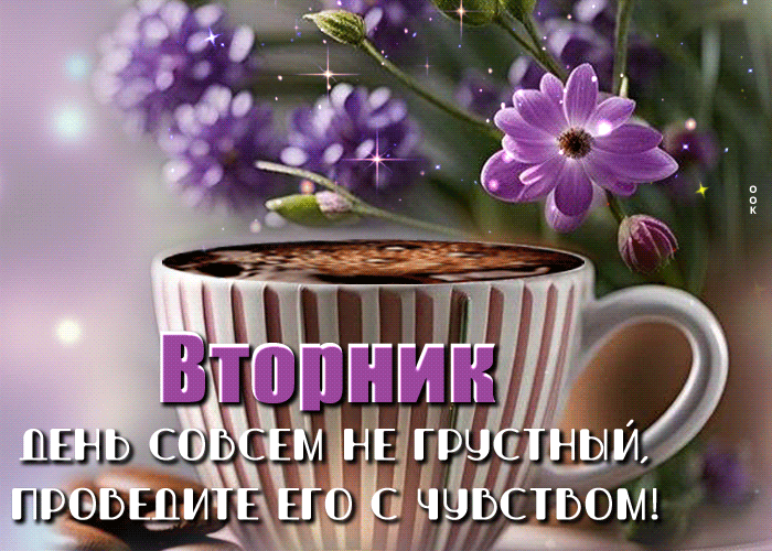 Гифка с позитивными словами про весенний вторник.