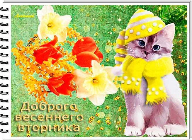 Милая гифка с котом "Доброго весеннего вторника!".