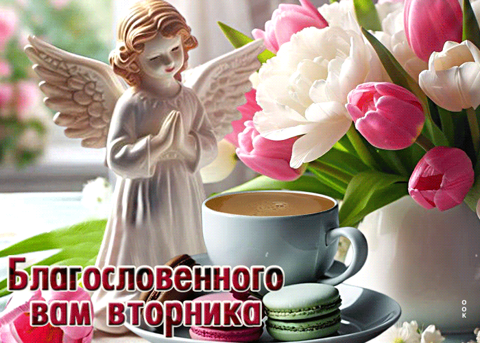 Анимация с надписью "Благословенного вторника" с весенними тюльпанами.