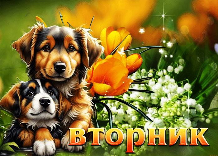 Блестящая гиф открытка с собаками на фоне весенним цветов и надписью "Вторник!".