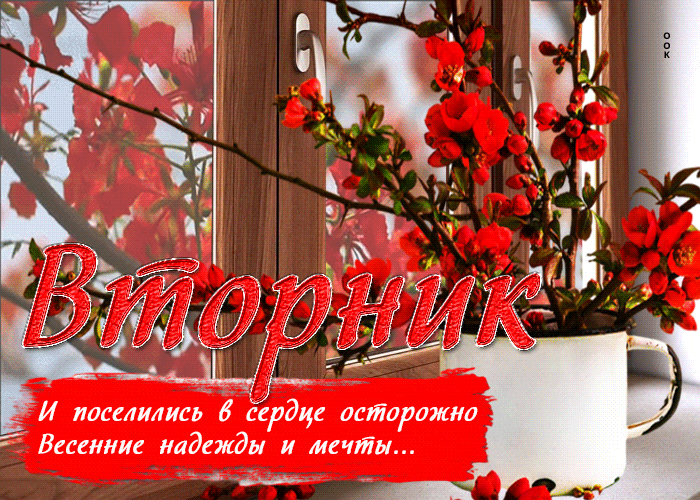 Гифка Вторник, и поселились в сердце осторожно весенние надежды и мечты.