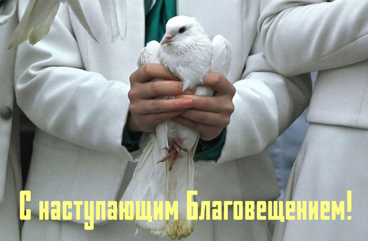 Фото с голубем с надписью "С наступающим Благовещением!".
