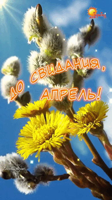 Солнечная гиф открытка с надписью "До свидания, Апрель!" на фоне веточки вербы и одуванчиков.