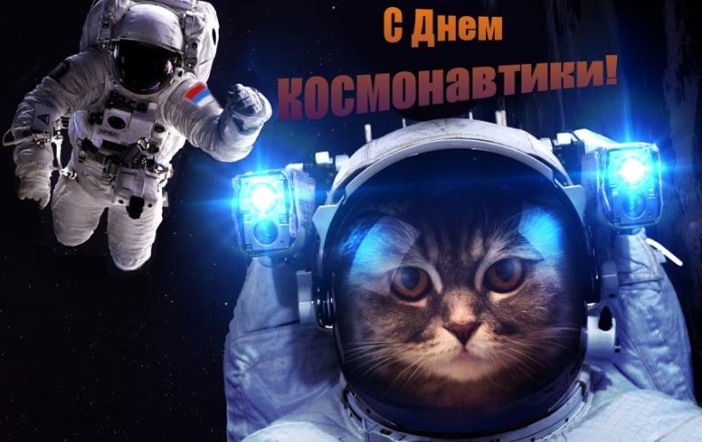 Креативная фотка с котом в скафандре на 12 апреля день космонавтики.