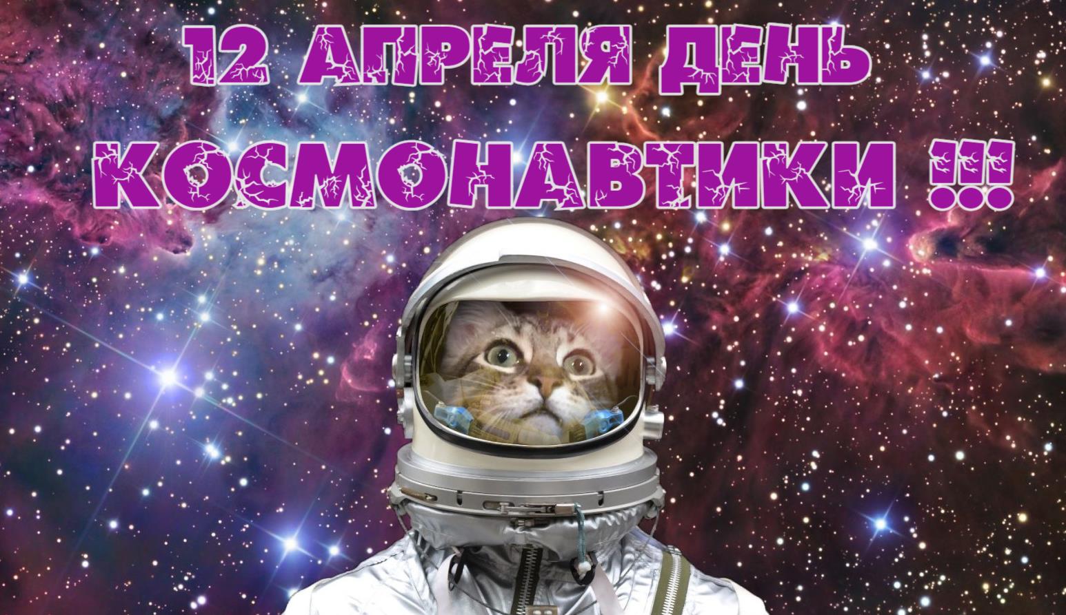 Креативная - смешная картинка с котом среди звёзд на день космонавтики.