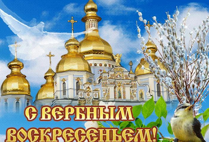 Красивая мерцающая gif картинка с белым голубем на фоне церкви к Вербному воскресенью.