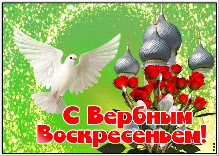Яркая gif картинка с голубем мира и розами на Вербное Воскресенье.