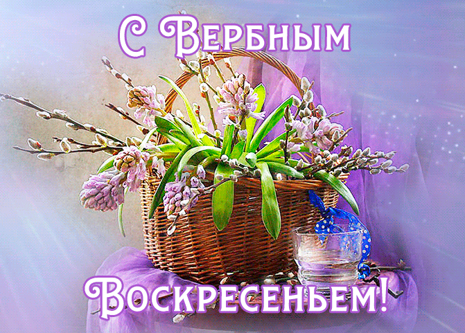 Нежная gif картинка с корзинкой вербы на воскресенье 28 апреля 2024 года.