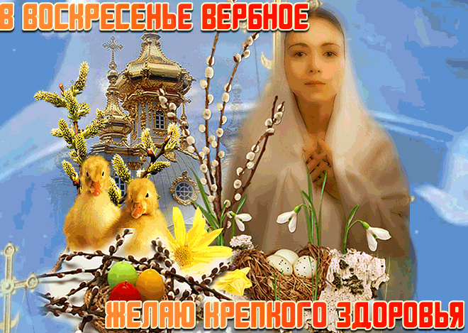 Гиф с пожеланием крепкого здоровья в вербное воскресенье.