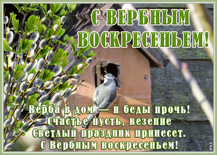 Виртуальная гиф открытка с Вербным воскресеньем с птичками.