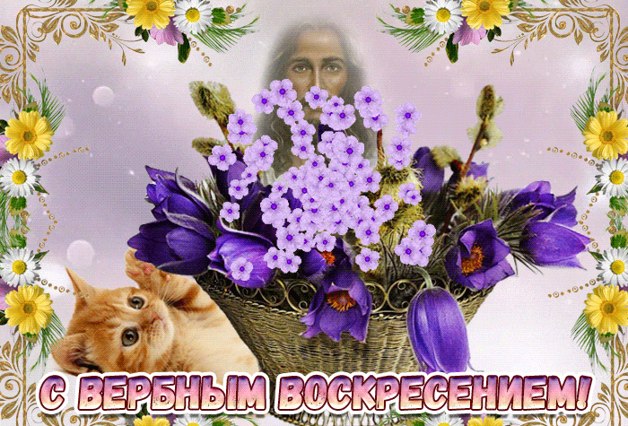 Цветочная картинка с котом к вербному воскресению.