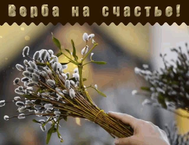 Живая гиф открытка Верба на счастье. Живая гиф открытка Верба на счастье.
