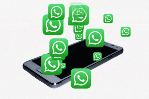 Гифка WHATSAPP