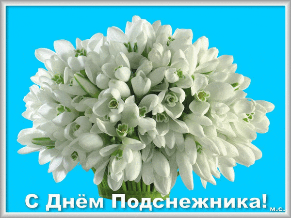 Креативная гиф открытка с букетом белых подснежников.
