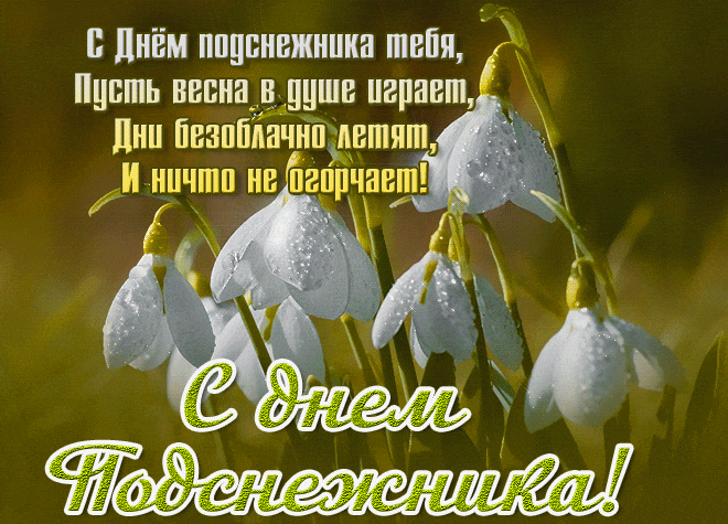 Gif картинка с днём подснежника тебя, пусть весна в душе играет, дни безоблачно летят, и ничто не огорчает.