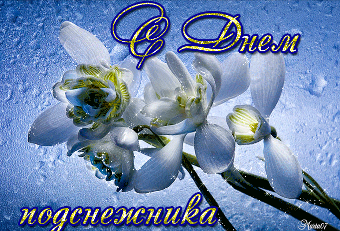 Блестящая гиф открытка с подснежниками.