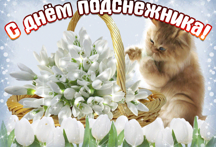 Весенняя гифка кот с корзинкой подснежников.