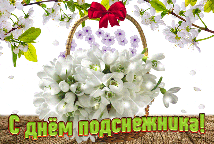 Цветочная анимация на день подснежника.