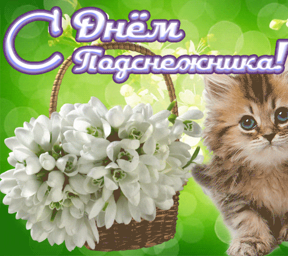 Забавная гиф открытка с котёнком на день подснежника.