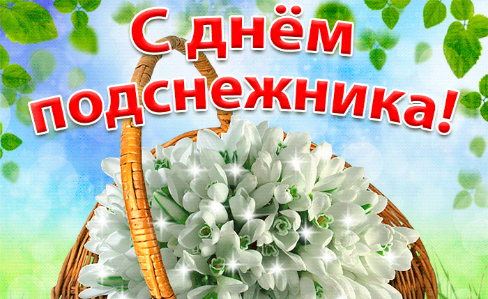 Новая сияющая гифка с корзинкой белых подснежников.