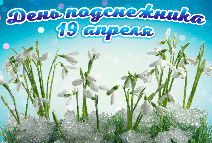 Переливающаяся гифка с надписью "День подснежника 19 апреля".