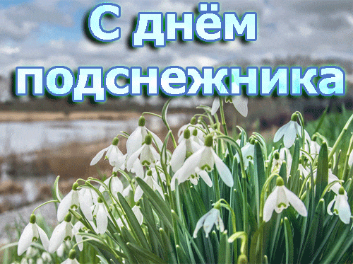 Солнечная гифка ко дню подснежников.