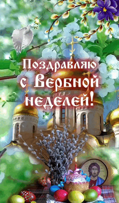 Весенняя гиф открытка "Поздравляю с Вербной неделей!" с природой. Весенняя гиф открытка "Поздравляю с Вербной неделей!" с природой.