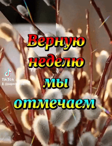 Гифка верную неделю мы отмечаем, вербу цветущую освещаем. Гифка верную неделю мы отмечаем, вербу цветущую освещаем.