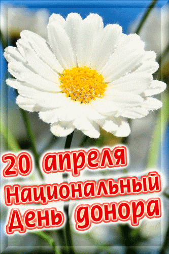 Мерцающая gif картинка с ромашкой на 20 апреля национальный день донора.