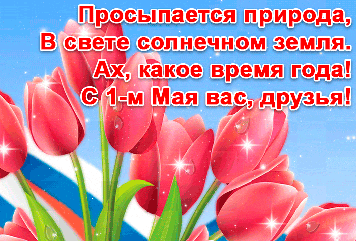 Gif открытка с пожеланиями на Первое Мая с тюльпанами. Gif открытка с пожеланиями на Первое Мая с тюльпанами.