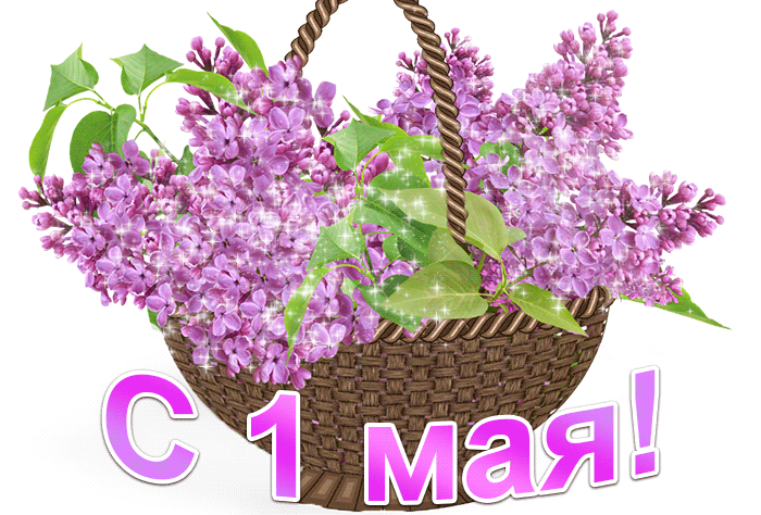 Gif картинка с корзинкой сирени на прозрачном фоне к 1 Мая. Gif картинка с корзинкой сирени на прозрачном фоне к 1 Мая.