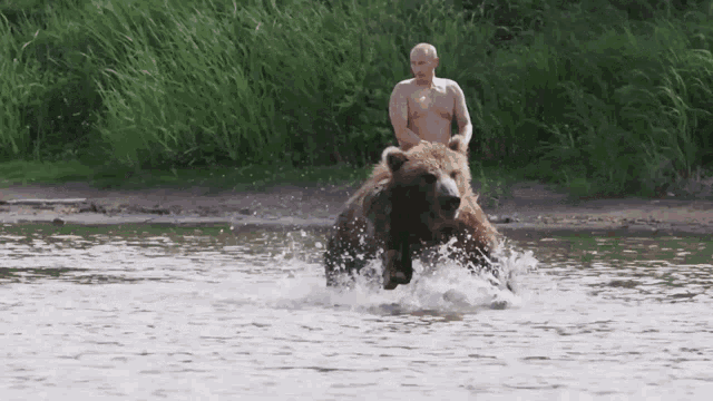 Эпичная гифка Путин верхом на медведе. Эпичная гифка Путин верхом на медведе.