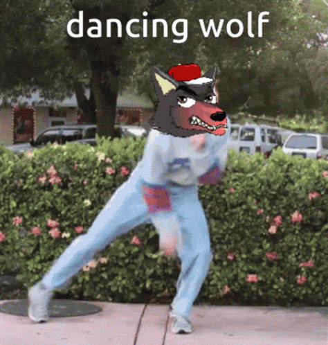 Gif dancing wolf.