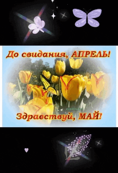 Мерцающая gif картинка с жёлтыми тюльпанами и надписью "До свидания, Апрель! Здравствуй, Май!".