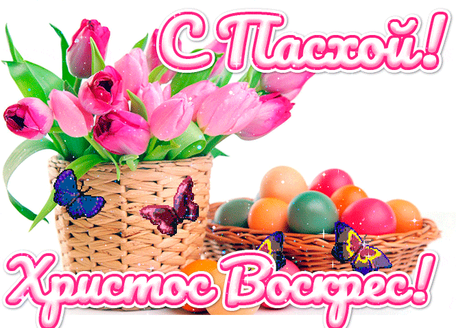 Нежная гиф открытка с розовыми тюльпанами "С Пасхой! Христос Воскрес!". Нежная гиф открытка с розовыми тюльпанами "С Пасхой! Христос Воскрес!".