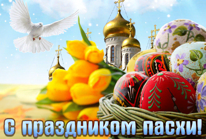 Самая лучшая гифка с тюльпанами, яйцами и белым голубем на праздник Пасхи. Самая лучшая гифка с тюльпанами, яйцами и белым голубем на праздник Пасхи.
